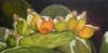 Pears on Parade