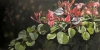 Chickadees in the Shimmer Tree