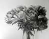 Peony Power