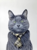 The CEO