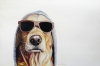 The Dude