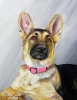 Nala