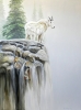 Cliffhanger