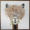 Bad Hair Day